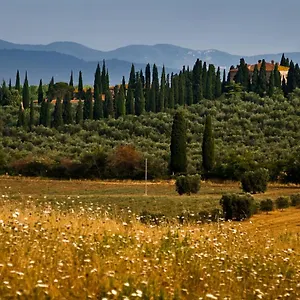 Tenuta Di Poggio Cavallo Casa di campagna Istia dʼOmbrone